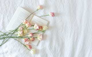 Картинка цветы, бутоны, книга
