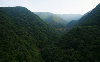 Картинка мост, лес, горы