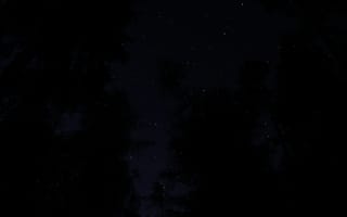 Картинка деревья, ночь, небо