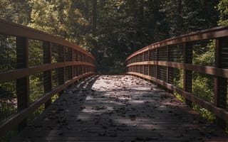 Картинка мост, листья, сухой