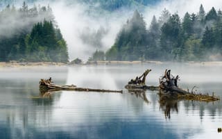 Картинка бревна, озеро, отражение