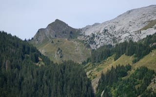 Картинка гора, рельеф, деревья