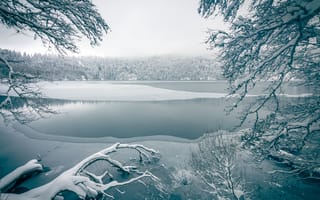 Картинка озеро, деревья, снег