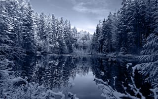 Картинка озеро, лес, снег