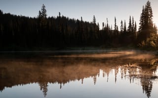 Картинка река, туман, деревья