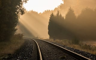 Картинка железная дорога, деревья, туман