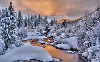 Картинка деревья, снег, ручей