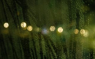 Картинка капли, дождь, стекло