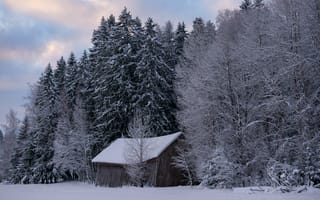 Картинка хижина, зима, снег
