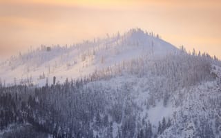 Картинка гора, деревья, снег