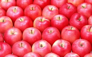 Картинка яблоки, разновидность, вкусно