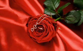 Картинка роза, цепочка, сердечко