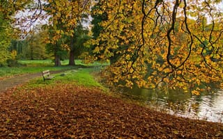 Картинка осень, пруд, лавочка