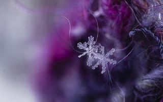 Картинка снежинки, кристаллы, лед