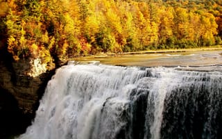 Картинка осень, водопад, лес