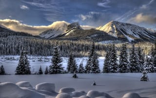 Картинка снег, зима, деревья