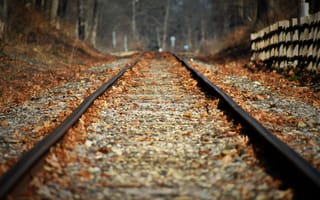 Картинка железная дорога, листья, осень