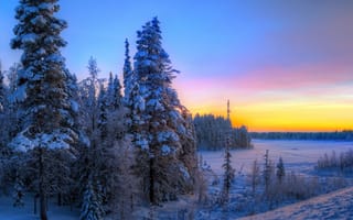 Картинка закат, зима, деревья