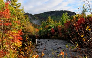 Картинка осень, река, деревья