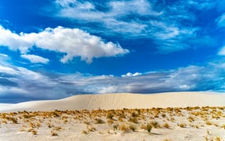 Картинка пустыня, песок, трава