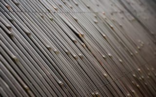 Обои текстуры, бамбук, забор