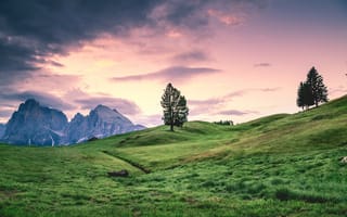 Картинка дерево, холм, трава