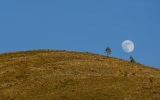 Картинка луна, холм, деревья