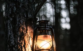 Картинка фонарь, свет, дерево