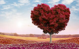 Картинка дерево, сердце, фотошоп
