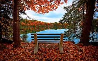 Картинка скамейка, осень, река