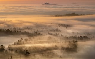 Картинка туман, гора, лес
