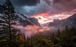 Картинка Йосемитский национальный парк, Йосемитская долина, утро, 5к, туманный