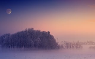 Картинка зима, эстетический, утро, пейзаж, луна, туманный, 5к, холодный