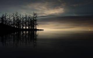 Картинка закат, сухие деревья, озеро, сумерки, силуэт