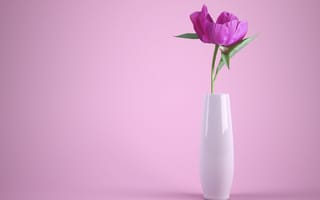 Картинка розовый цветок, Цветочная ваза, розовый, нежно-розовый, пастельно-розовый, пастель, эстетический