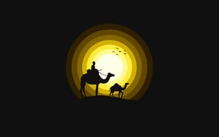 Картинка верблюды, солнце, желтый, силуэт, черный