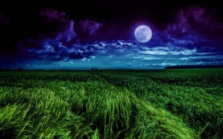 Картинка луна, пейзаж, ночь, поле, облачно