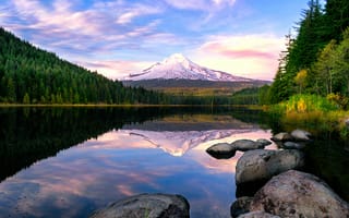 Картинка озеро триллиум, крепление капота, сосны, Орегон, отражение, лес, США