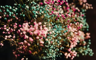 Картинка красочные цветы, букет цветов, 5к, 8k, цвести