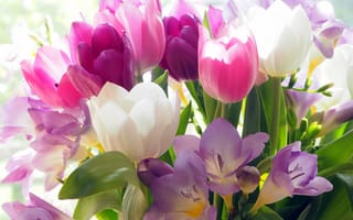 Картинка тюльпаны, цветы крокусы, букет, 5к, красочный