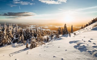 Картинка зима, пейзаж, Солнечный день, снег, сосны, 5к, иней деревья