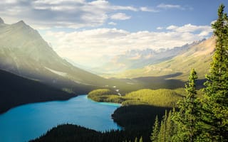 Картинка национальный парк банф, озеро пейто, лето, Солнечный день, Канада, горы, эстетический, канадские скалистые горы, лес, дневной свет