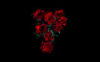 Картинка красные розы, букет цветов, 8k, черный, 5к
