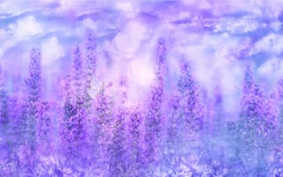 Картинка шалфейное растение, фиолетовые цветы, бабочка, фиолетовый, сад