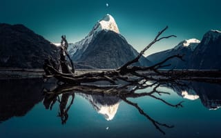 Картинка митра пик, луна, упавшее дерево, 5к, вода, отражение, снежные горы, Новая Зеландия, голубое небо, Милфорд Саунд