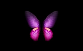 Картинка фиолетовая бабочка, крылья, самсунг галакси сгиб, запас, черный, девчачий, компьютерная графика, амолед