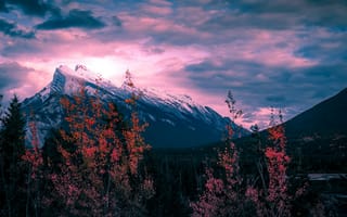 Картинка гора Рандл, Канада, облака, горная вершина, фиолетовое небо, золотой час, деревья, 5к, закат