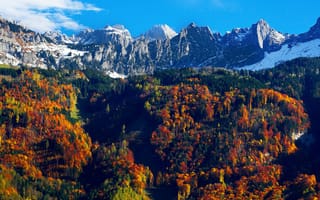 Картинка осенние деревья, снежные горы, пейзаж, голубое небо, горный хребет, 5к, ледник