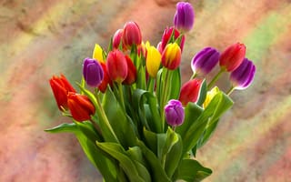 Картинка букет тюльпанов, весенние цветы, тюльпаны, красный, зеленые листья, фиолетовый, яркий, желтый, цвести