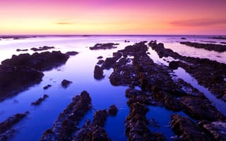 Картинка Морской заповедник Фитцджеральда, Калифорния, чистое небо, фиолетовое небо, горизонт, моховой пляж, горные породы, морской пейзаж, пейзаж, 5к, закат, США, океан, водное пространство